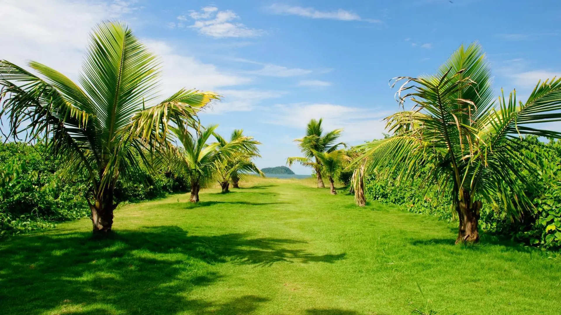 Appartamento Apto A 180M Da Praia, Dois Quartos, Sala De Estar, Cozinha Completa, Churrasqueira, Wi-Fi E Vaga Privativa De Garagem Ideal Para Familias Ou Amigos Viverem Momentos Inesqueciveis Reserve Agora Mesmo Itajubá